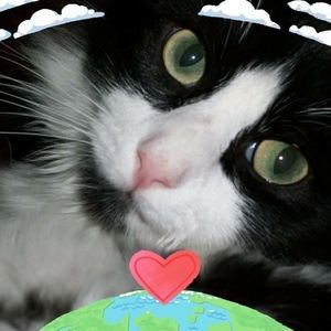 Meet your Posher, Dinah